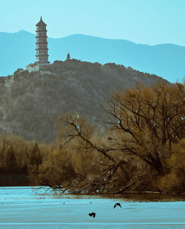 湖畔古塔映山色图片