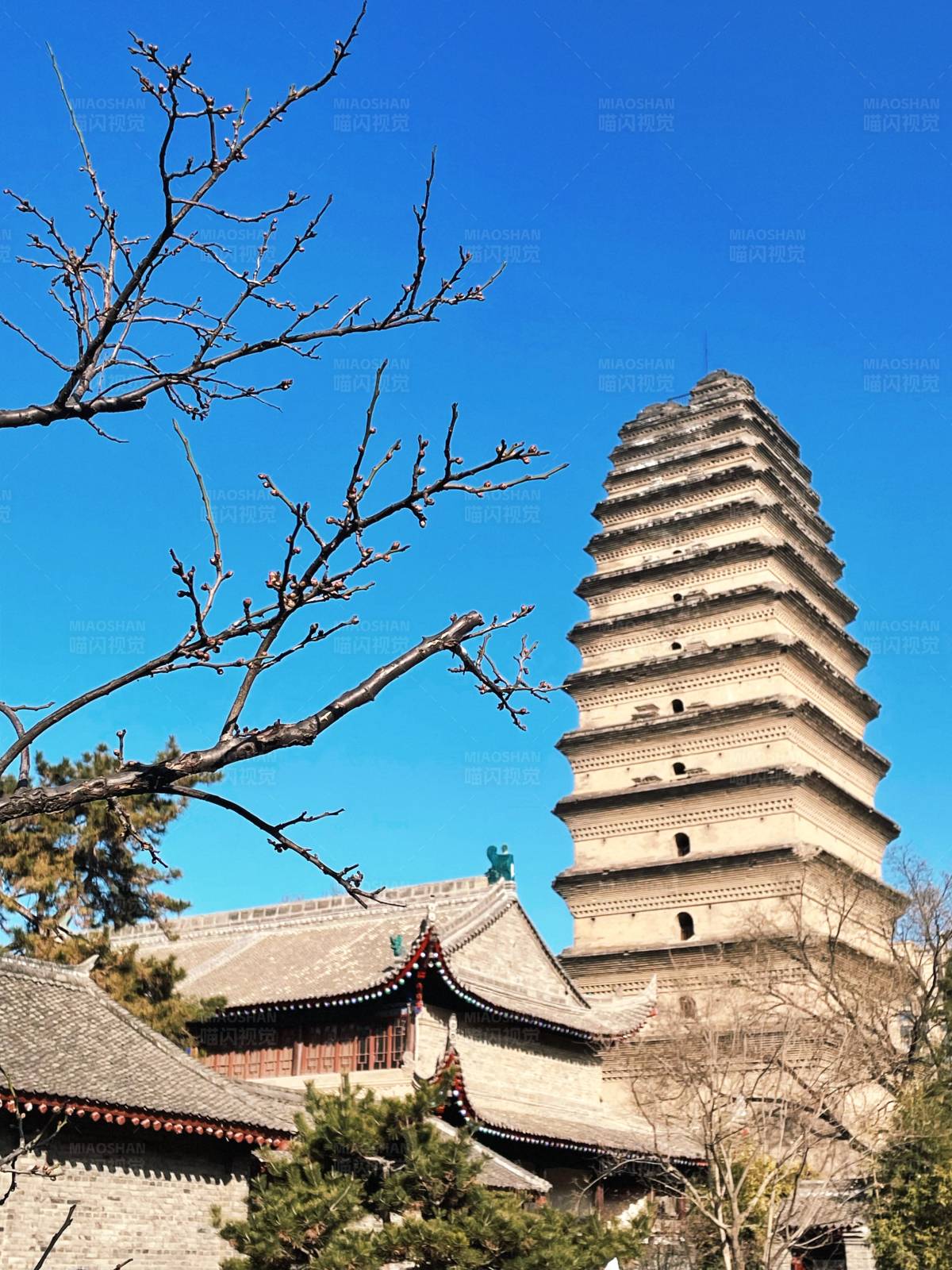 西安小雁塔图片