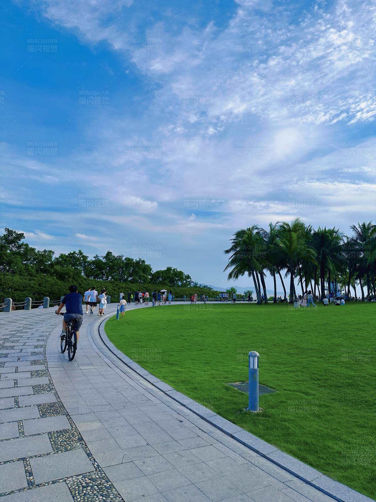 海滨公园骑行图片
