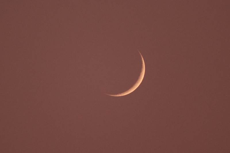 新月在红褐色天空中图片