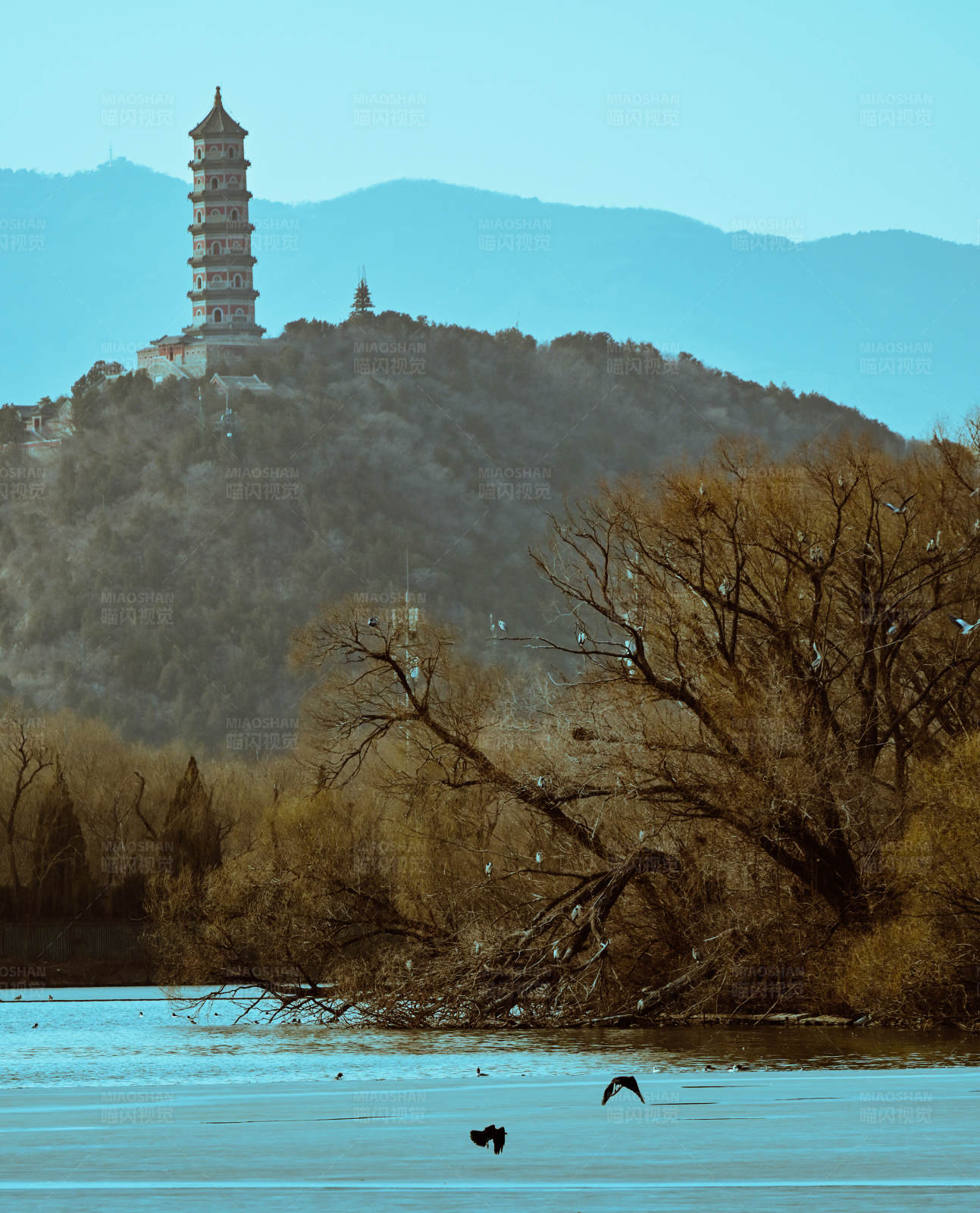 湖畔古塔映山色图片