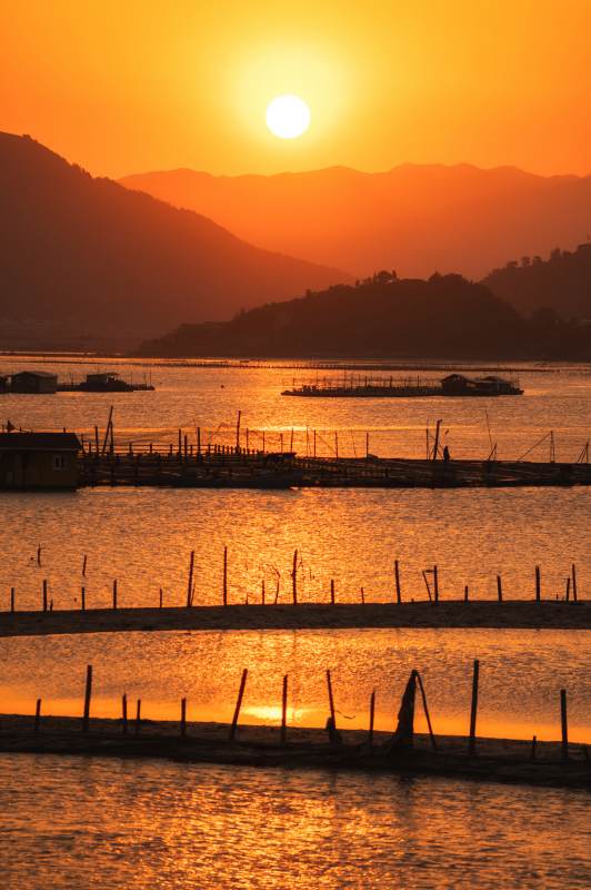 夕阳下的渔港图片