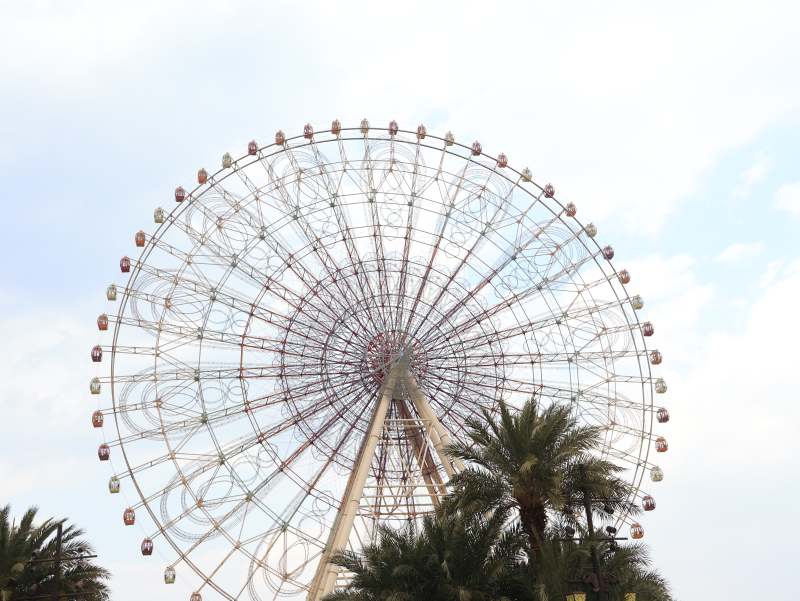 摩天轮与棕榈树图片