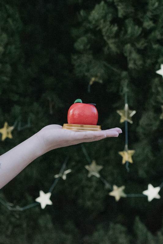 手捧苹果 星光点缀图片