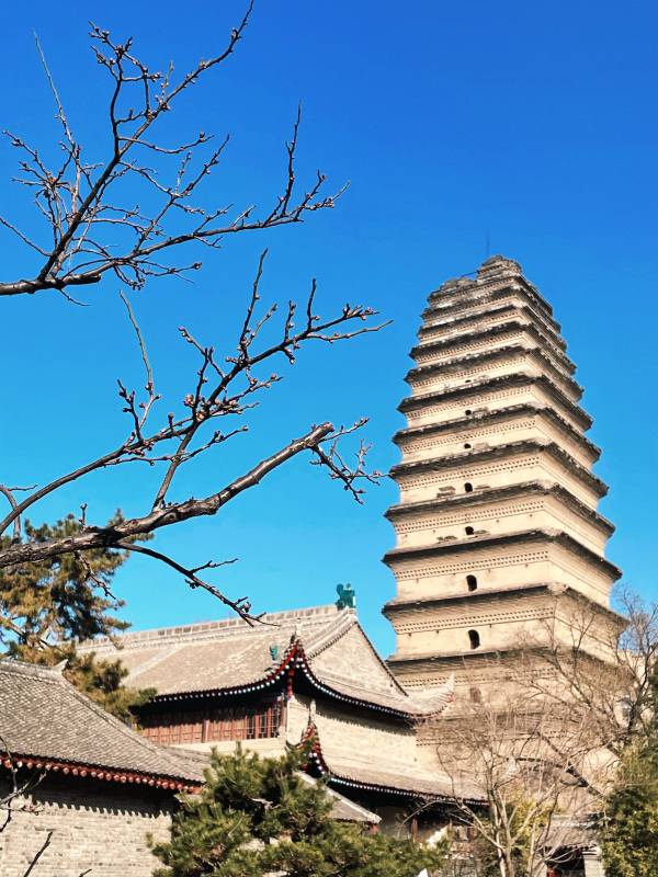 西安小雁塔图片