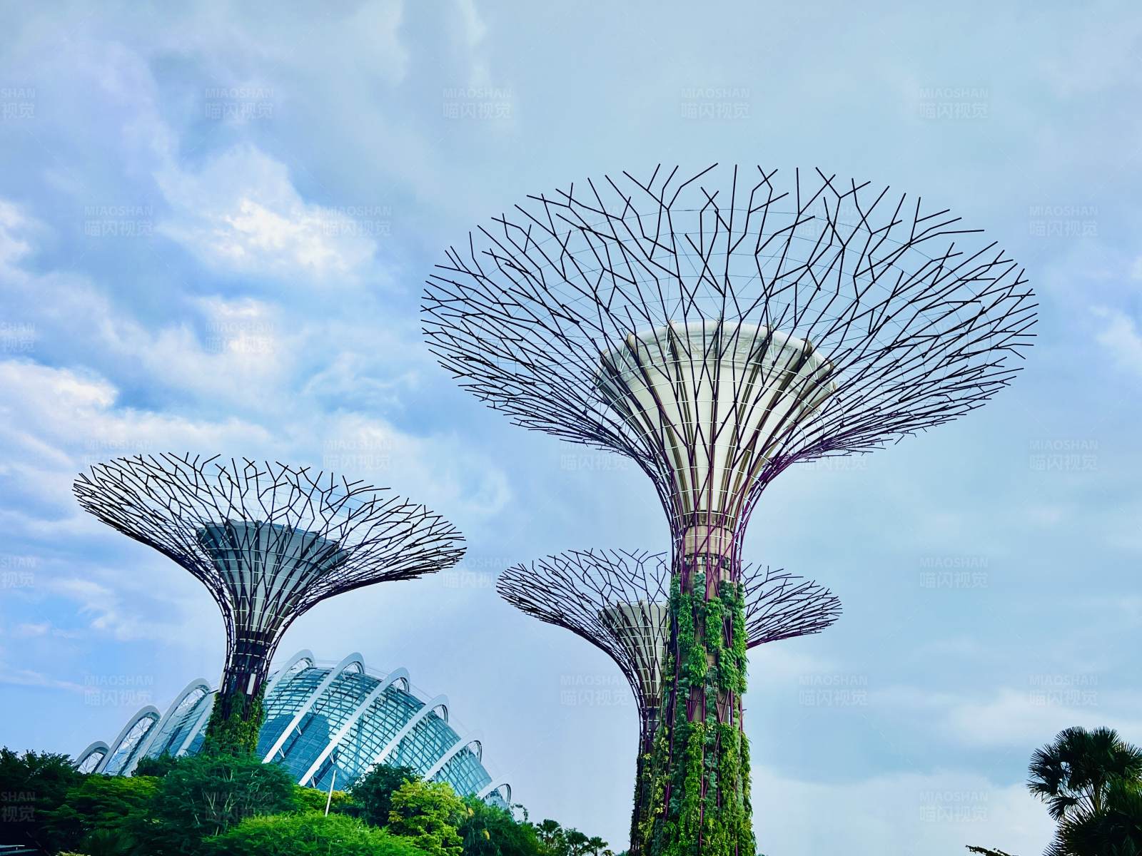 新加坡—滨海湾花园图片