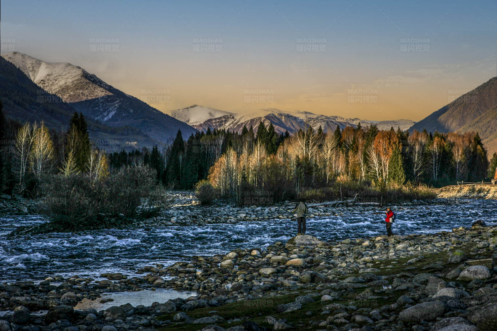 晨曦在禾木村小溪垂钓图片