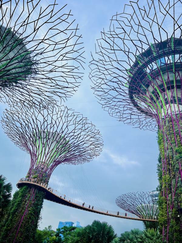 新加坡—滨海湾花园图片