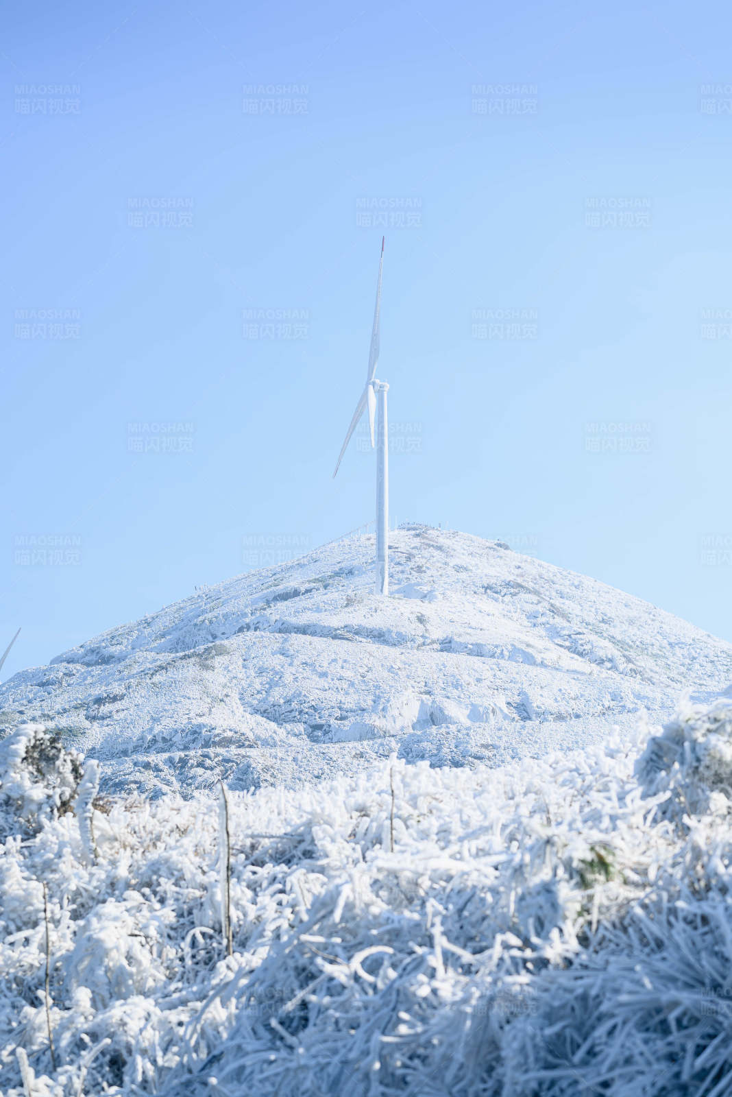 雪中风车图片