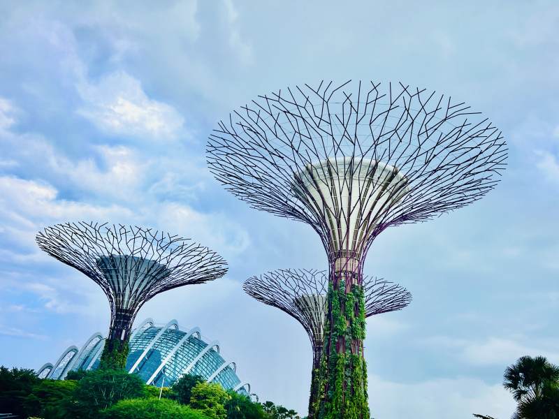 新加坡—滨海湾花园图片