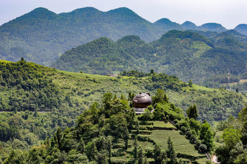 恩施伍家台茶园图片