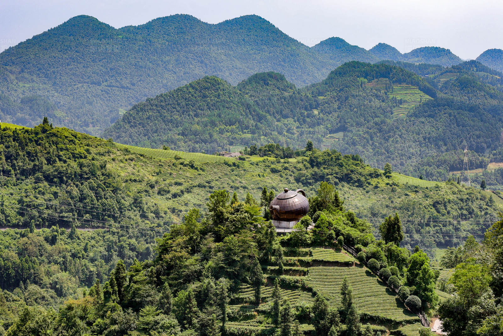 恩施伍家台茶园图片