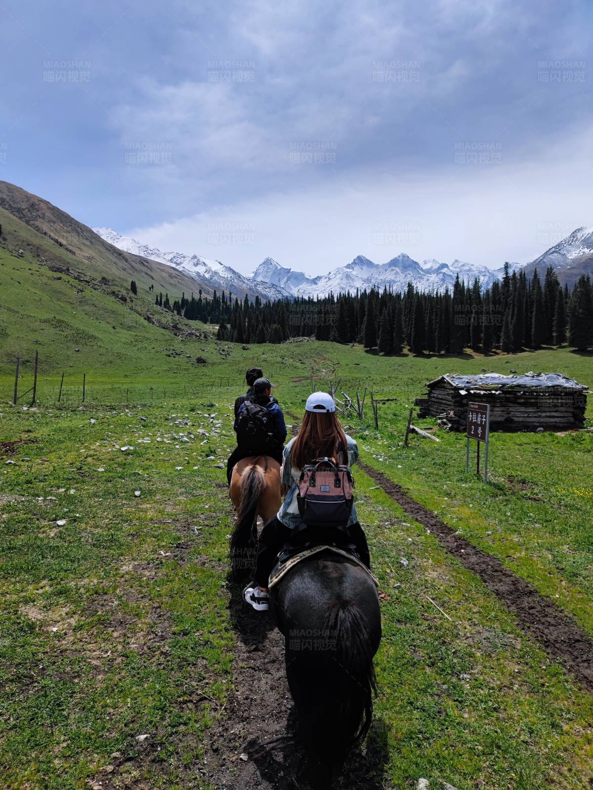 草原骑马之旅图片