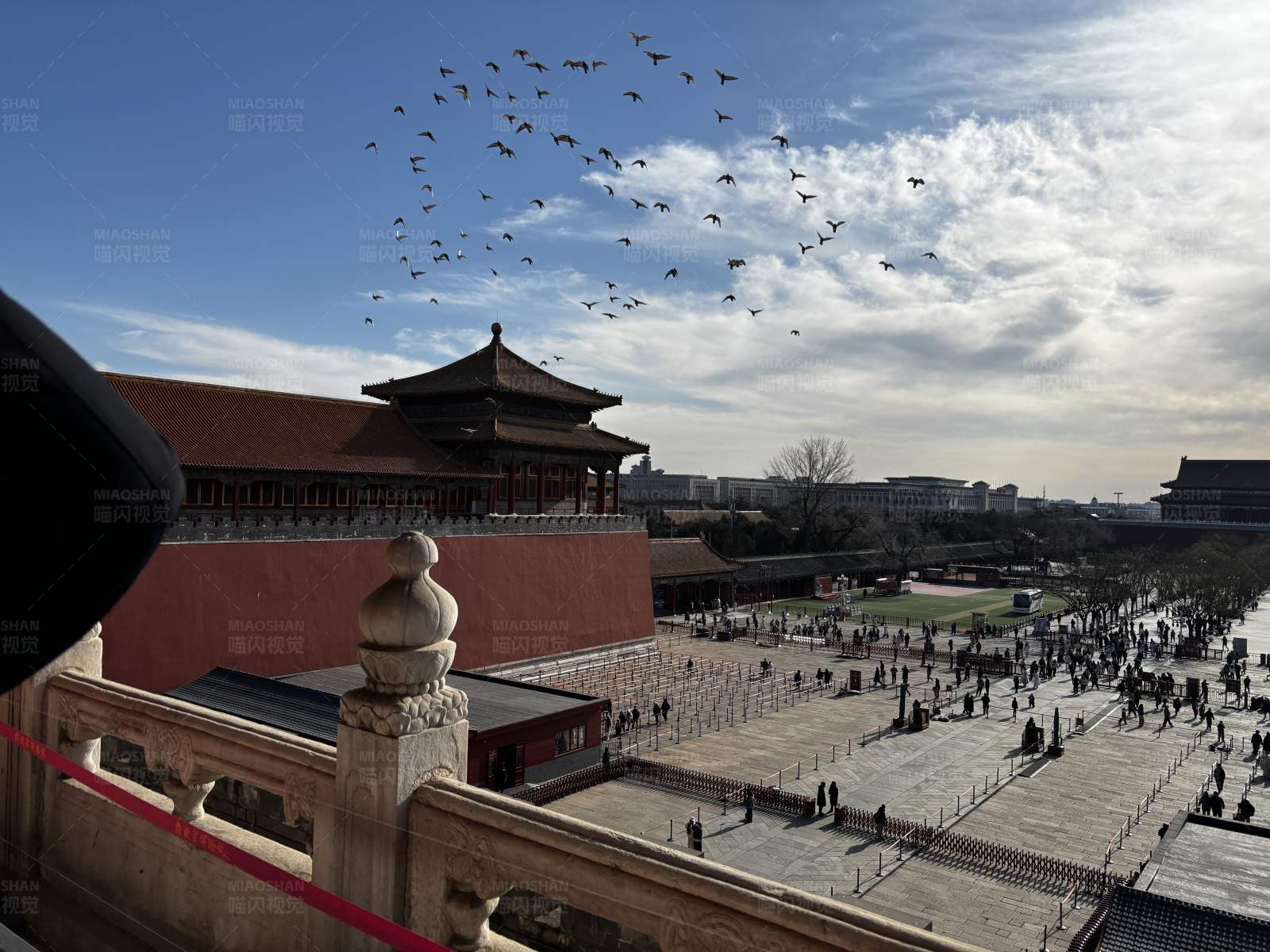 故宫上空的雁群图片