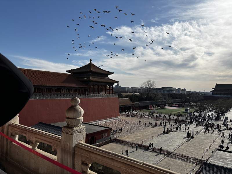 故宫上空的雁群图片