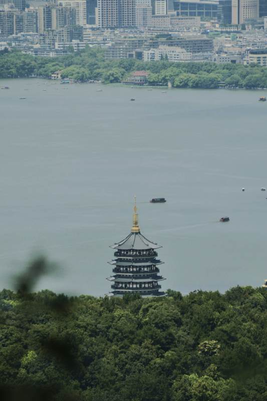 西湖雷峰塔与城市天际线图片