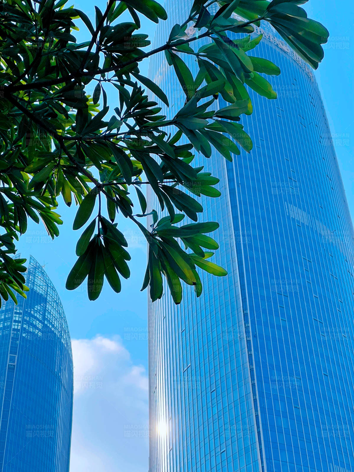 现代建筑与自然的和谐图片