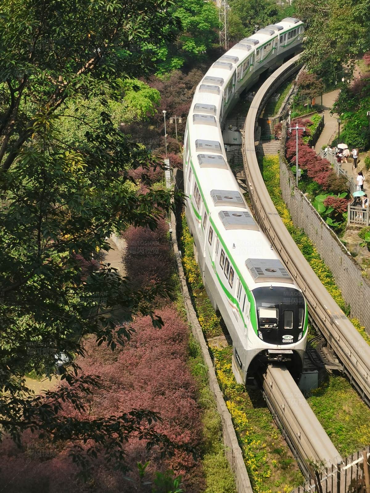 城市轻轨穿行花海图片