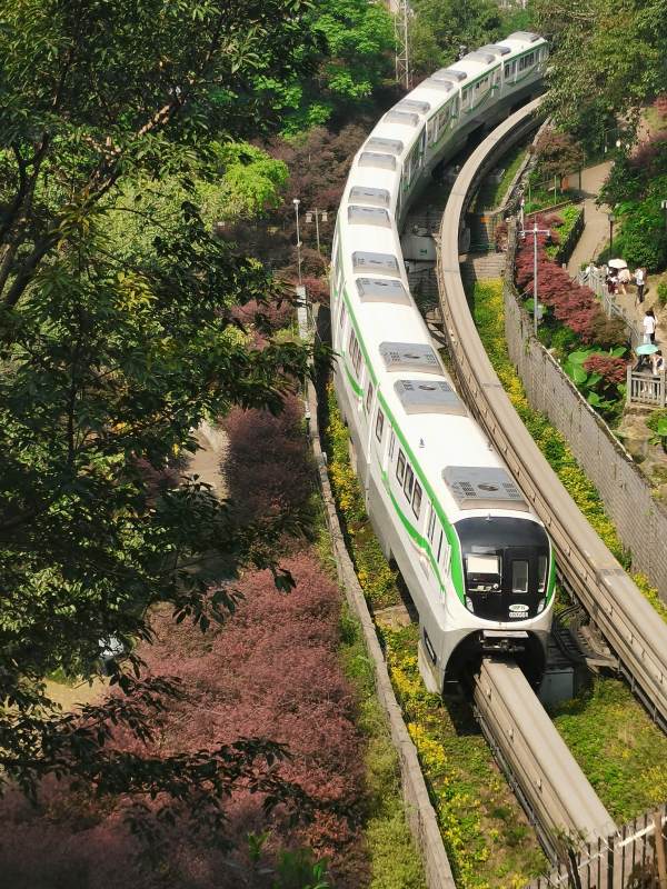 城市轻轨穿行花海图片