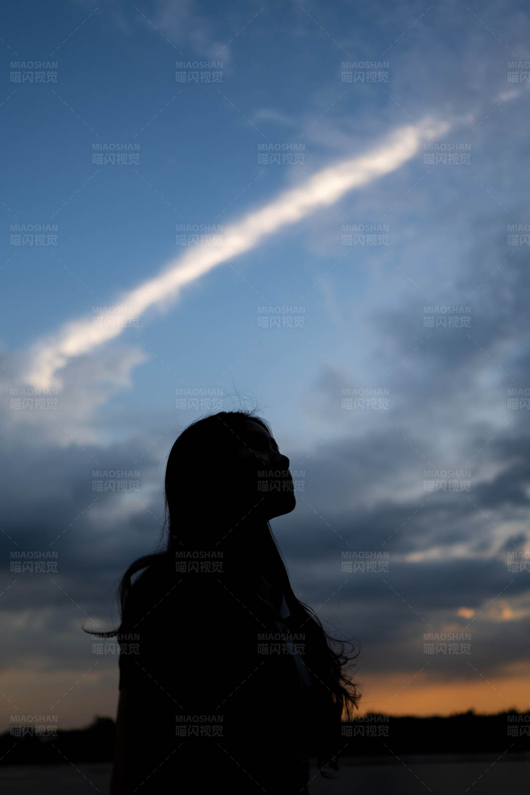 夕阳下的剪影图片