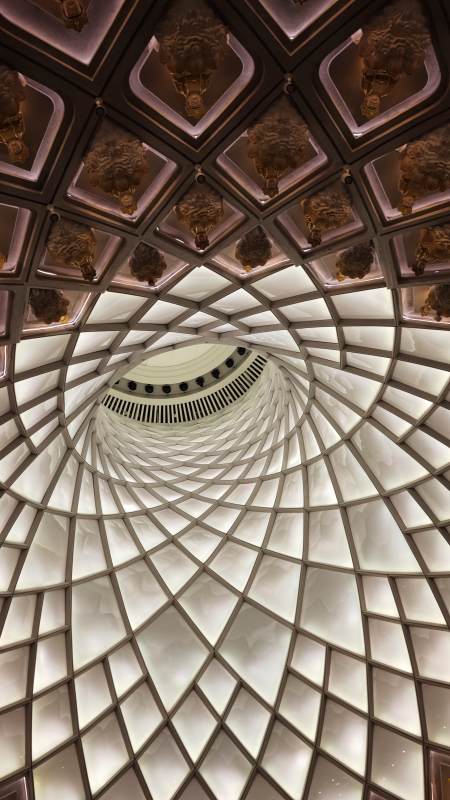 穹顶之光-观音法界图片