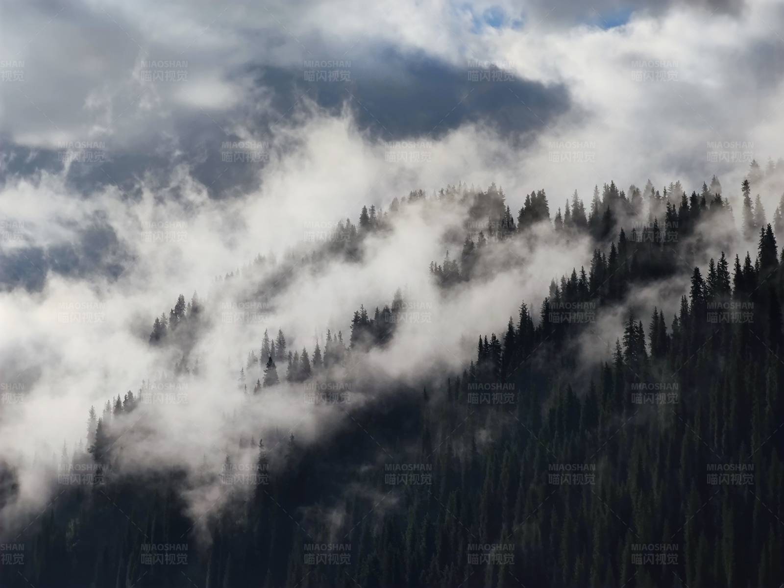 云雾缭绕的山林图片