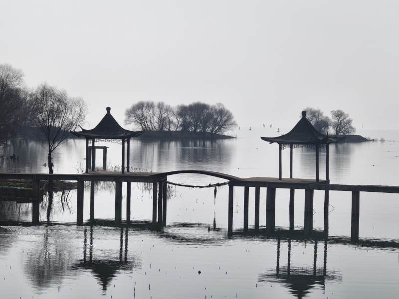 湖中亭影图片