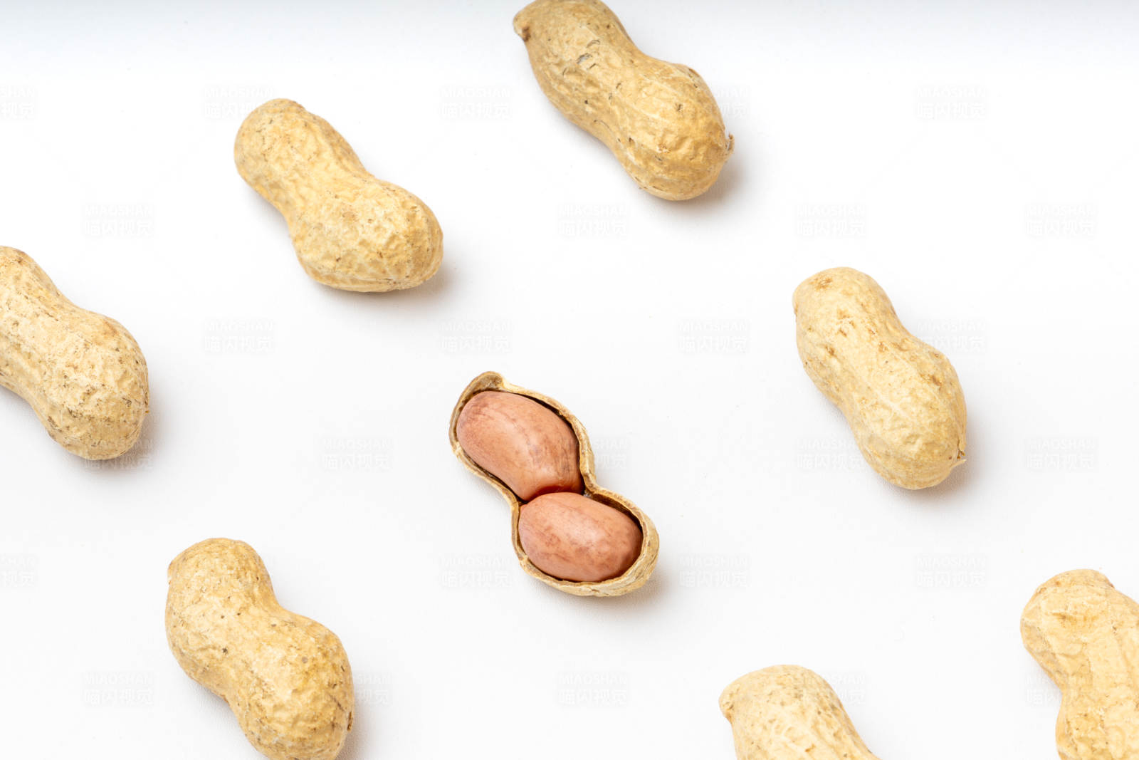 花生聚会 一颗独开图片