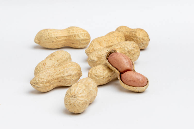 带壳花生展示图图片