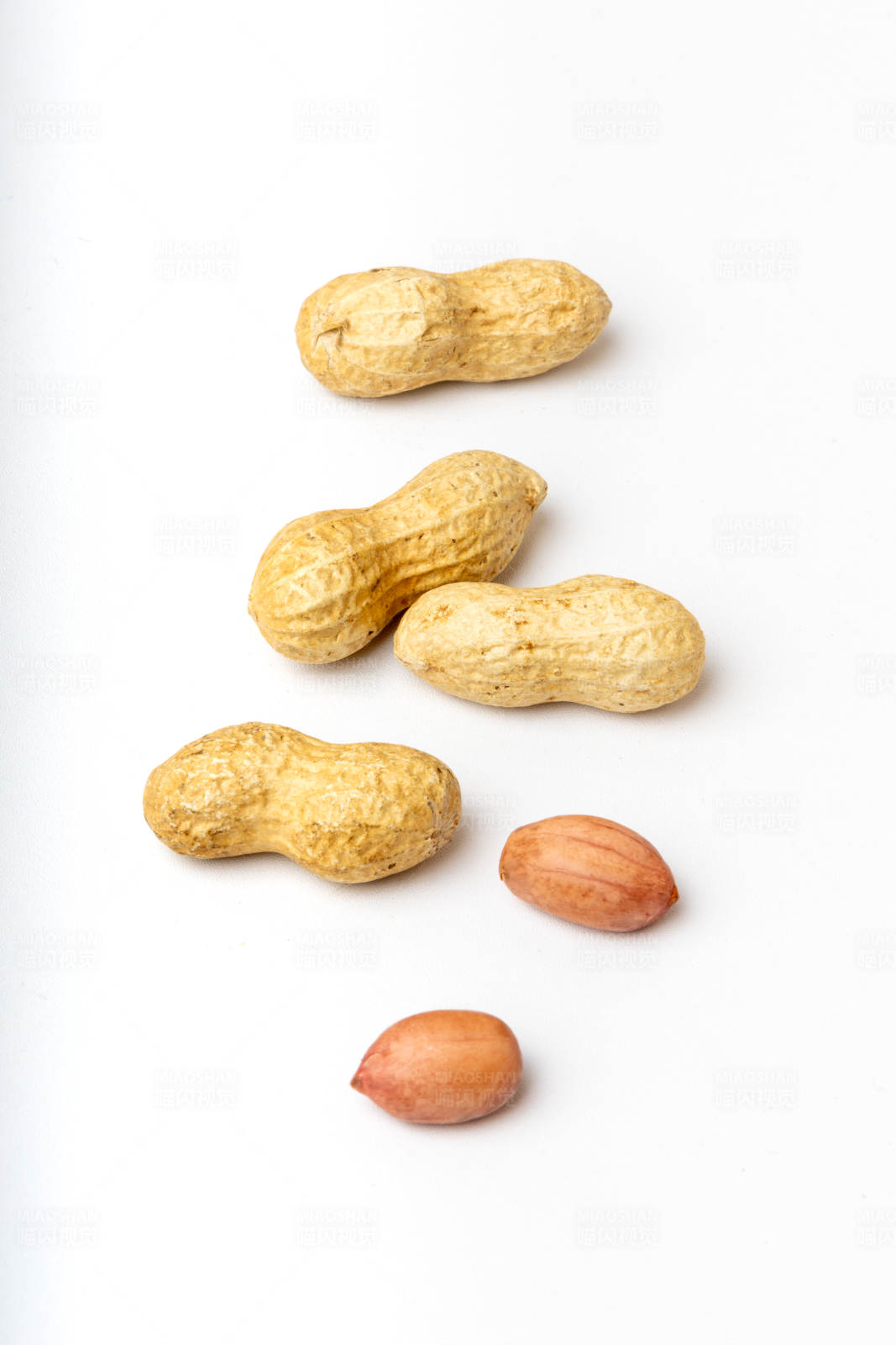 花生与花生仁图片