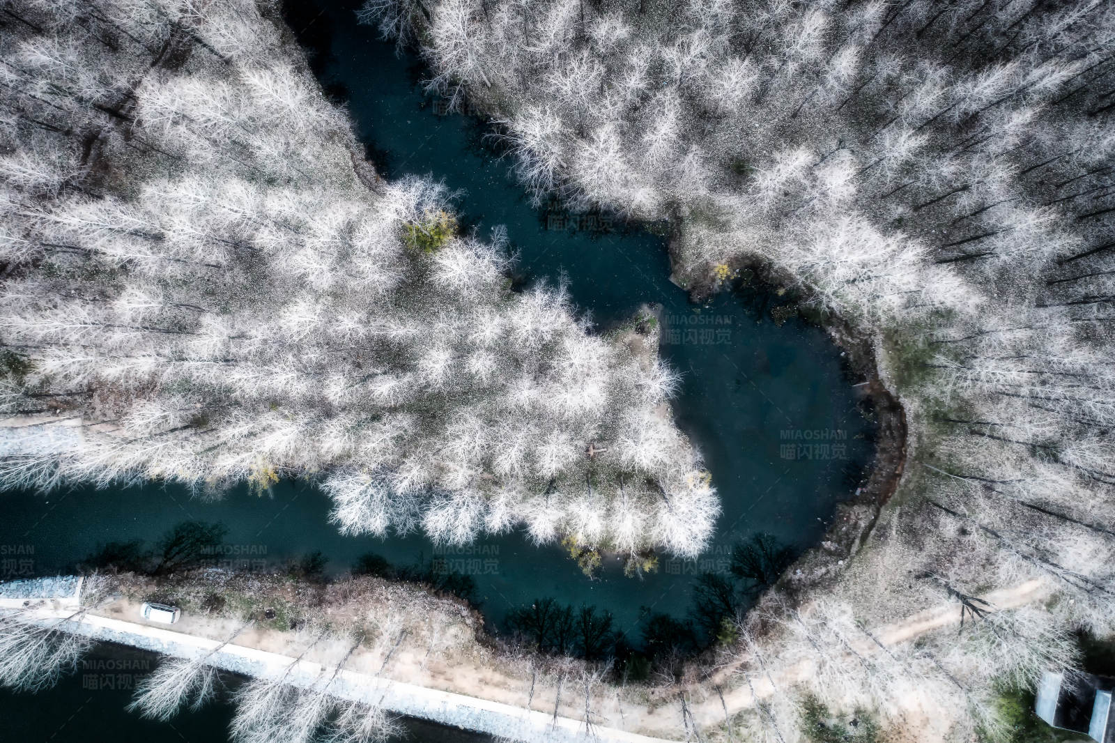 冬日森林中的蓝色河流图片