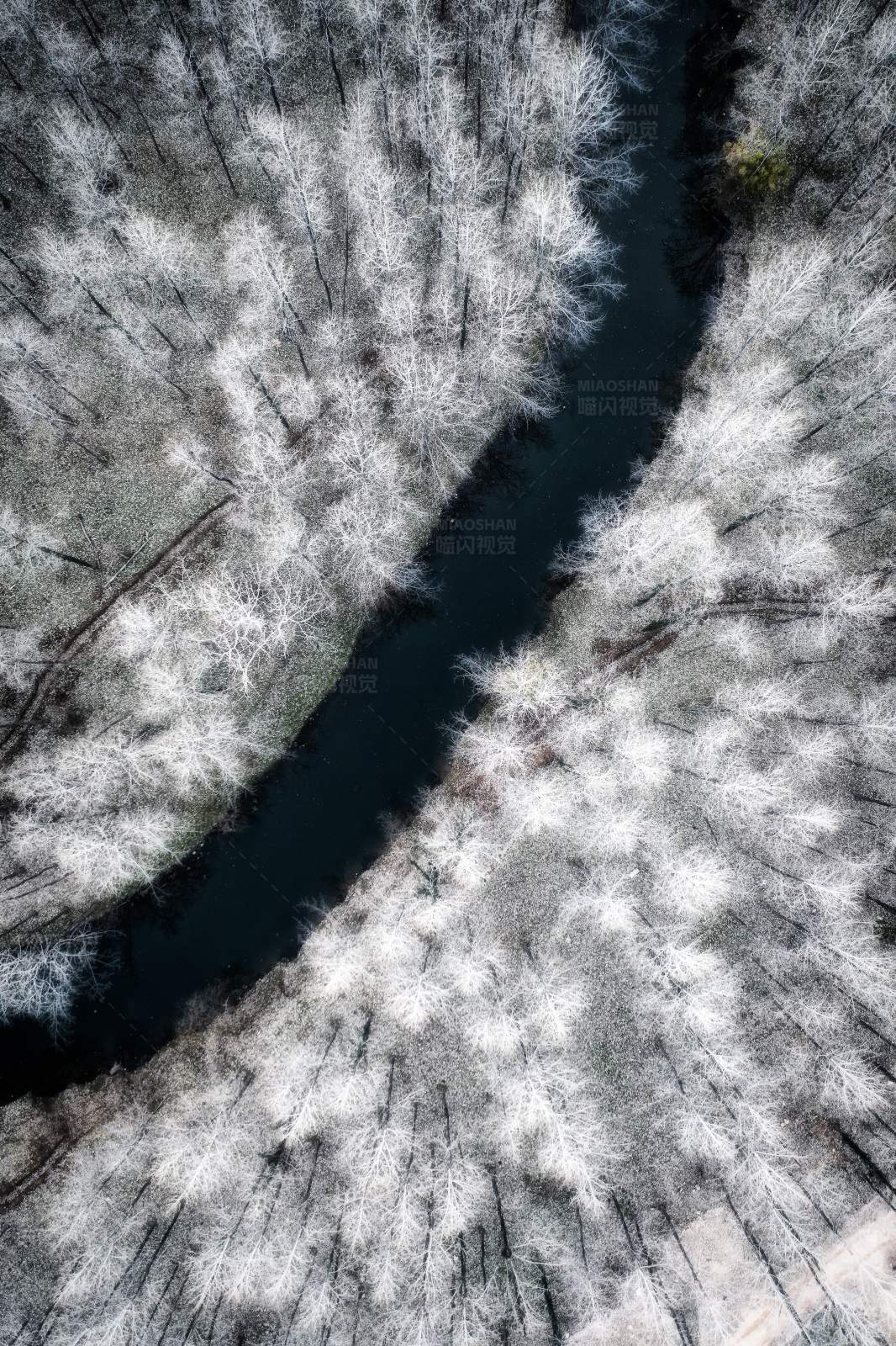 冬日森林中的河流图片