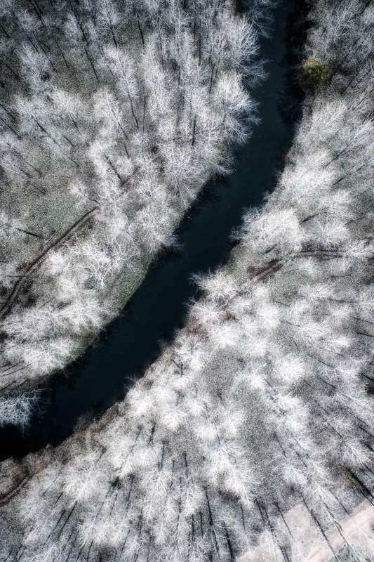 冬日森林中的河流图片