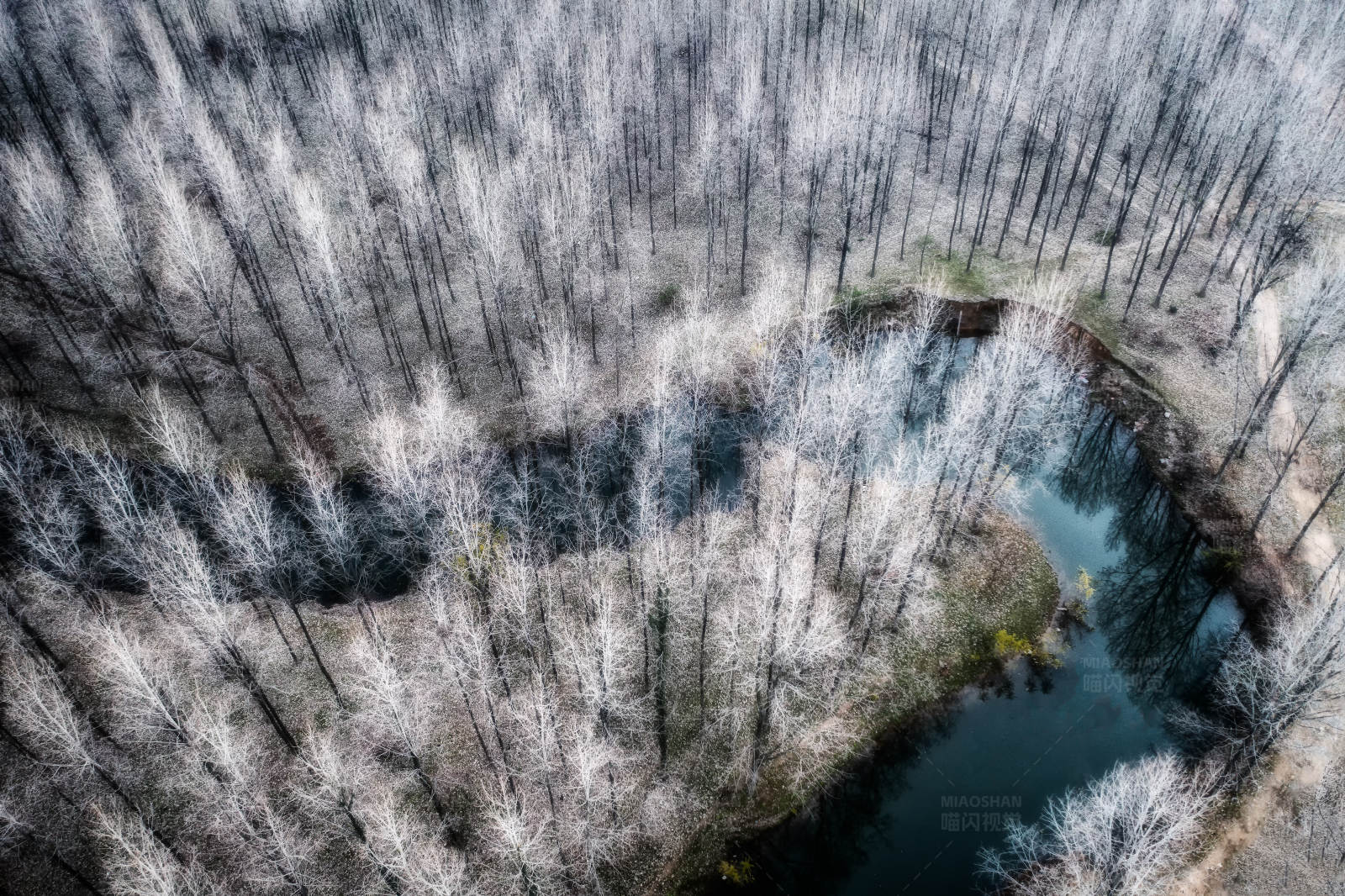 冬日森林与河流图片