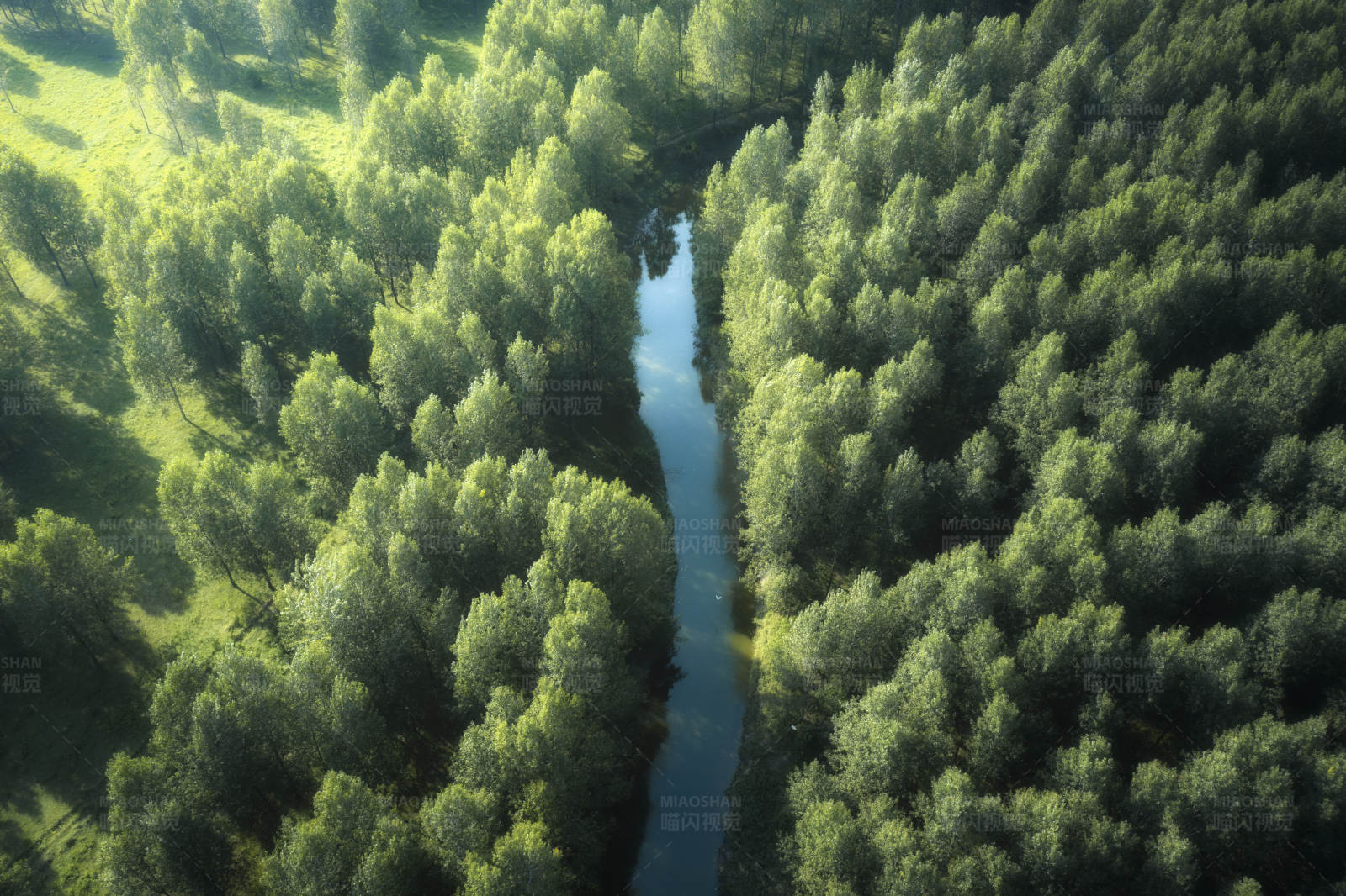 森林中的河流图片