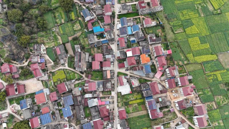 乡村屋顶与农田图片