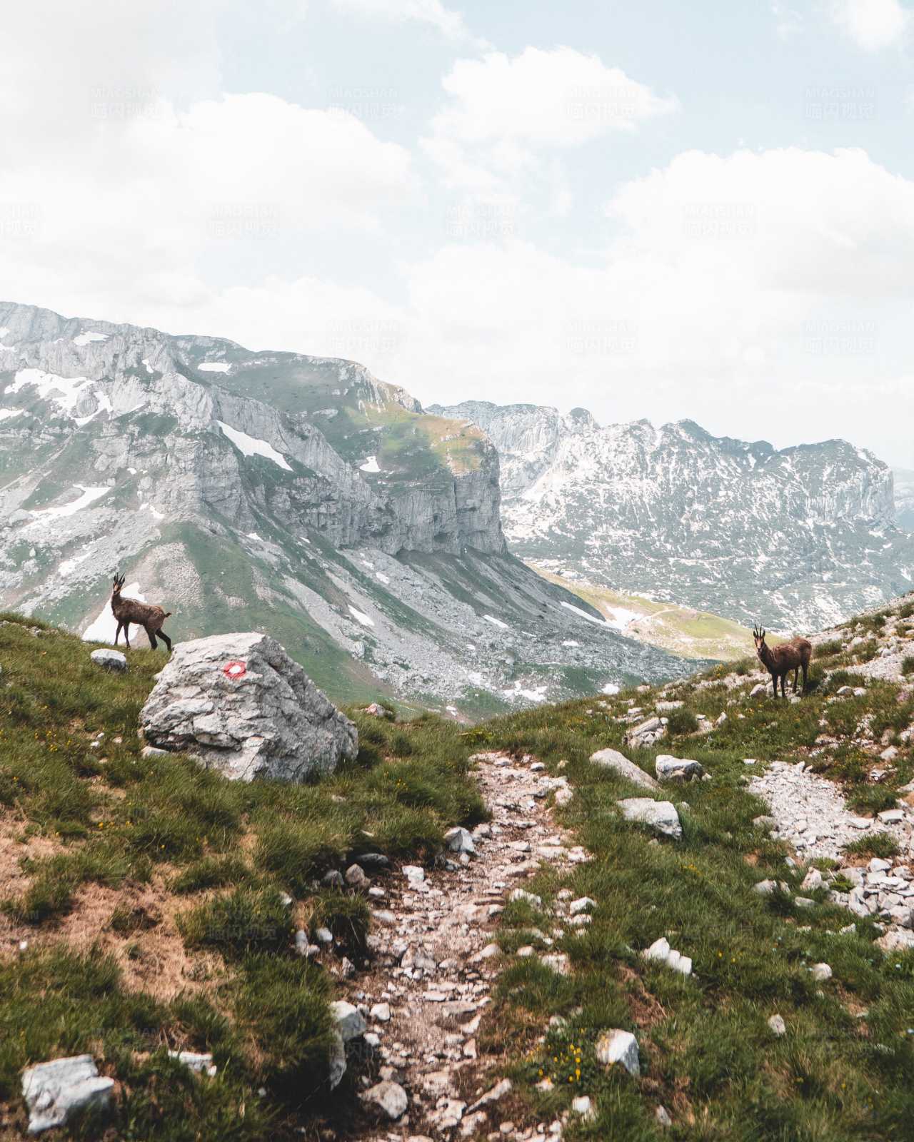 高山上的徒步小径图片