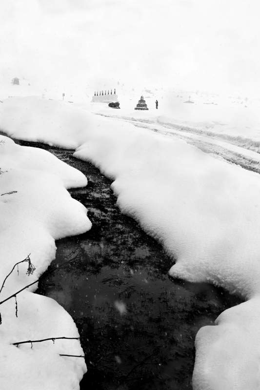 冬日雪景中的小溪图片