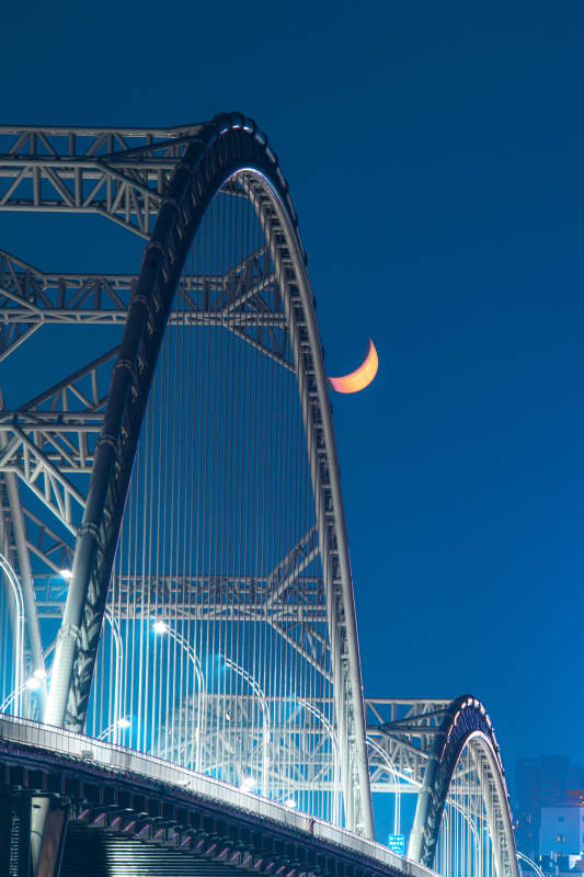 月夜桥影图片