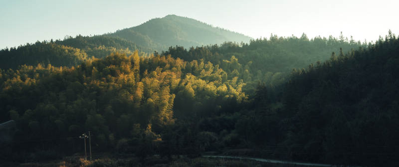 山林晨曦图片