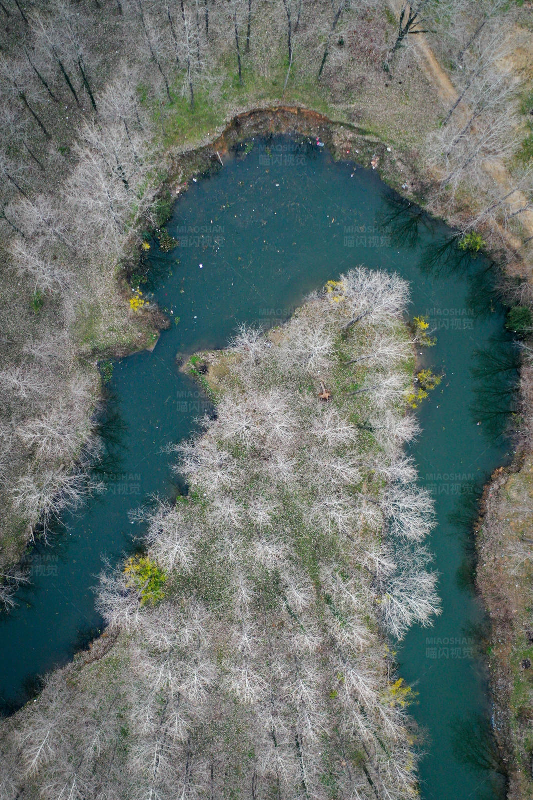 冬日森林中的弯曲河流图片