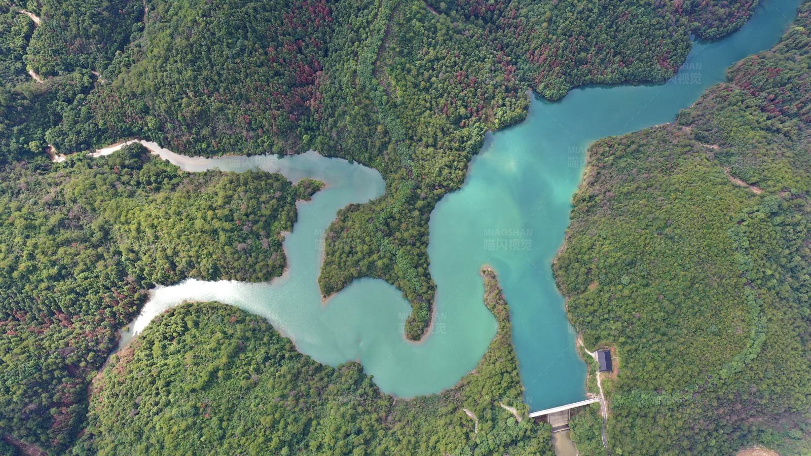 碧水蜿蜒 绿林环绕图片