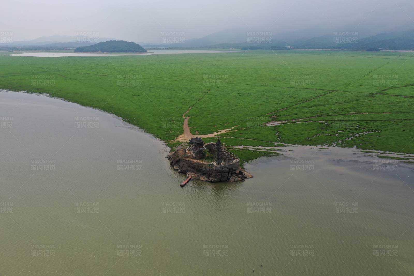 湖中古塔绿野背景图片