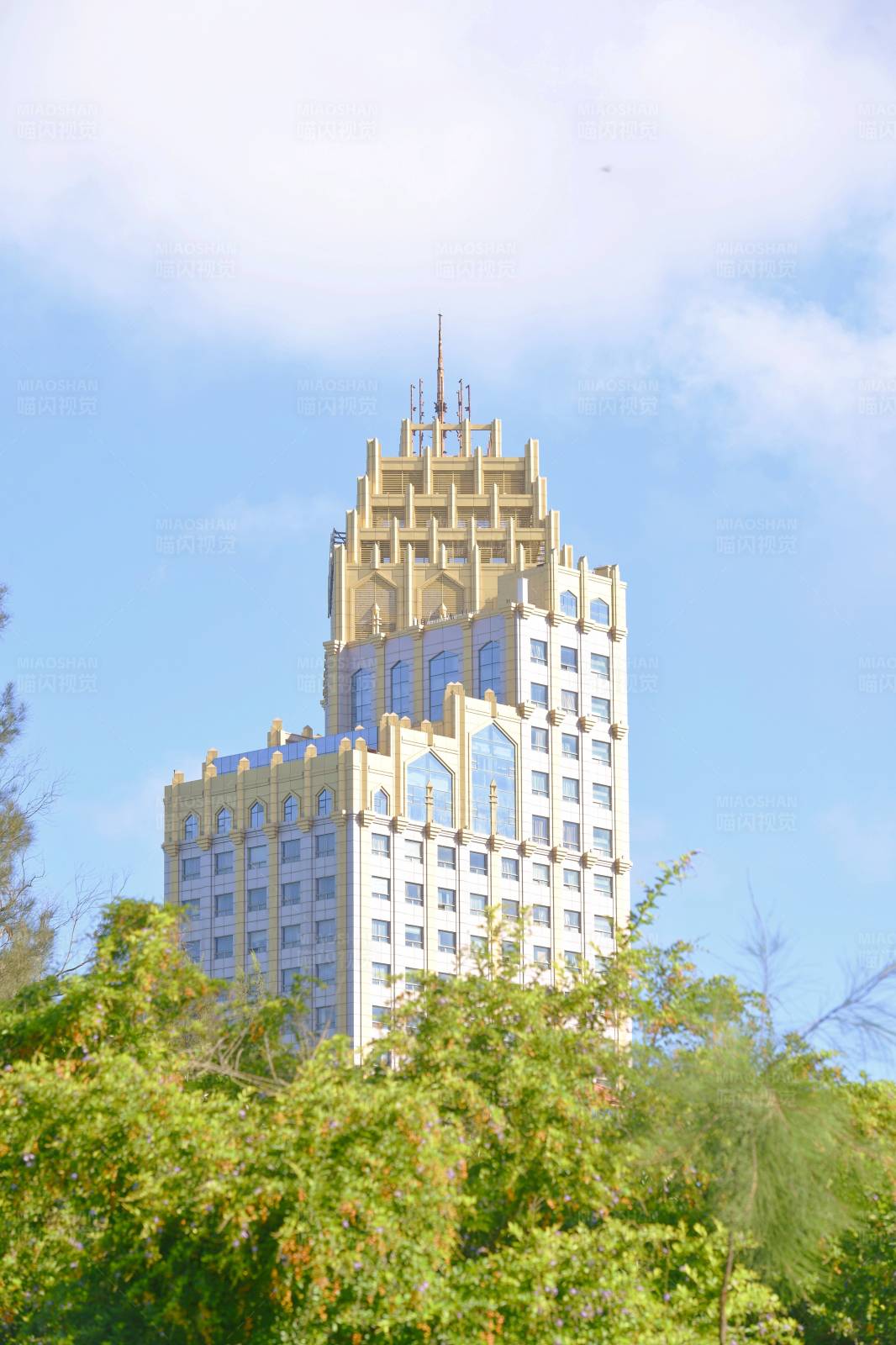 城市绿洲中的建筑图片