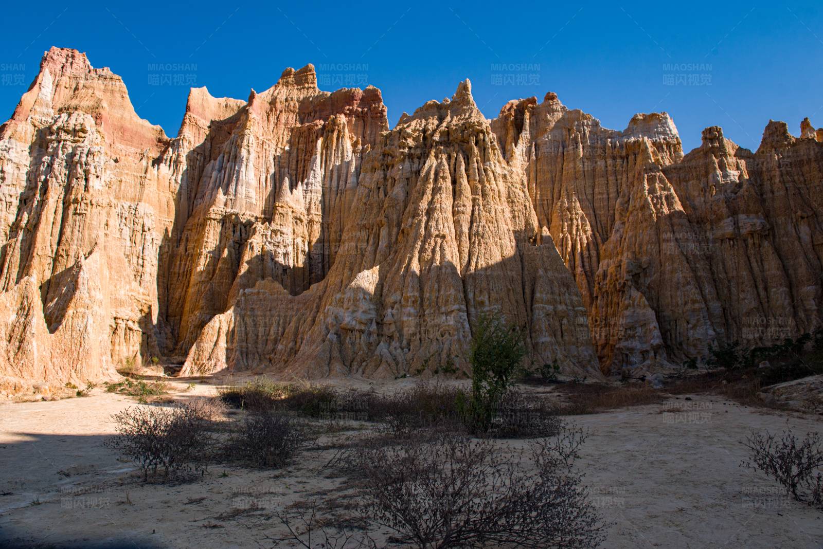 荒漠奇观 土林地貌图片