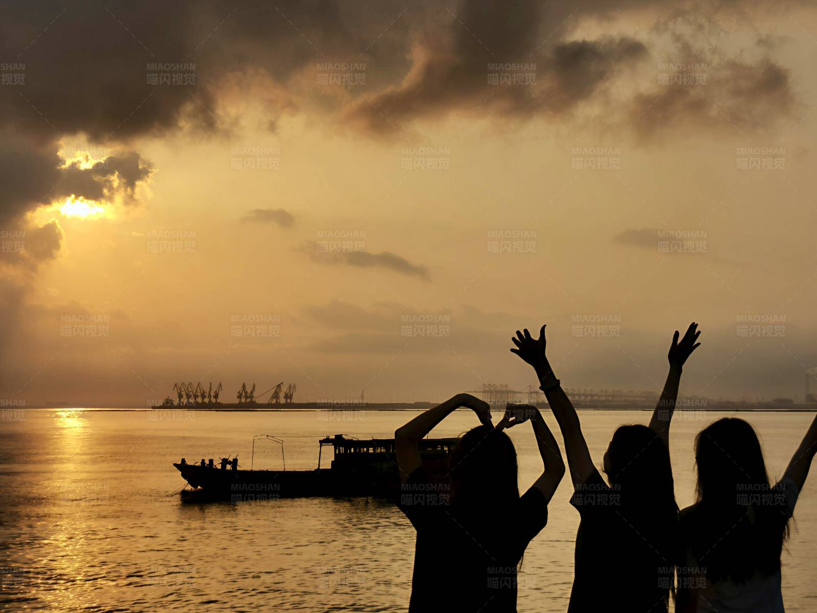 夕阳下的欢腾图片