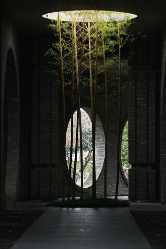 光与影的森林之门图片