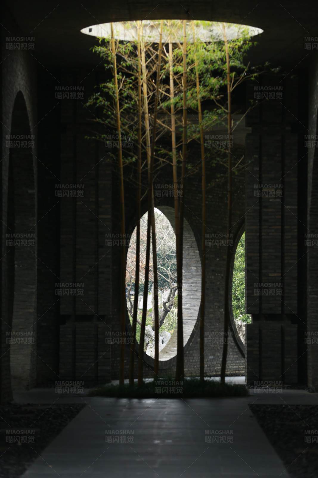 光与影的森林之门图片
