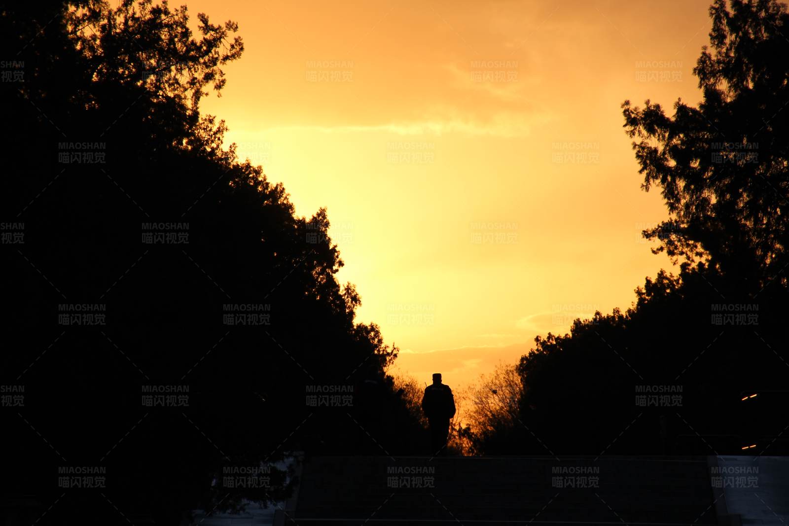 暮色独行人图片