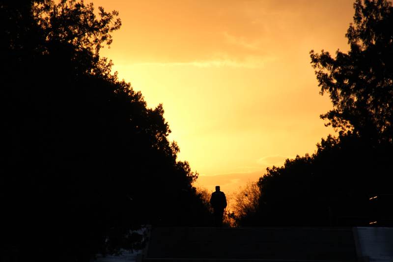 暮色独行人图片